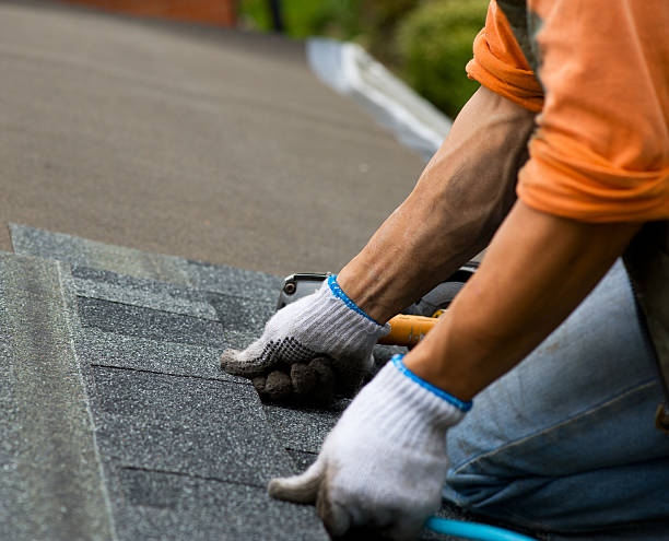 Best Roof Waterproofing Services  in Ladoga, IN